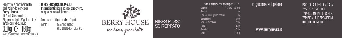 Ribes Rosso Sciroppato - immagine 2